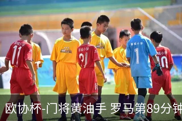 欧协杯-门将黄油手 罗马第89分钟遭绝杀1-2客负